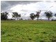Scone NSW 2337