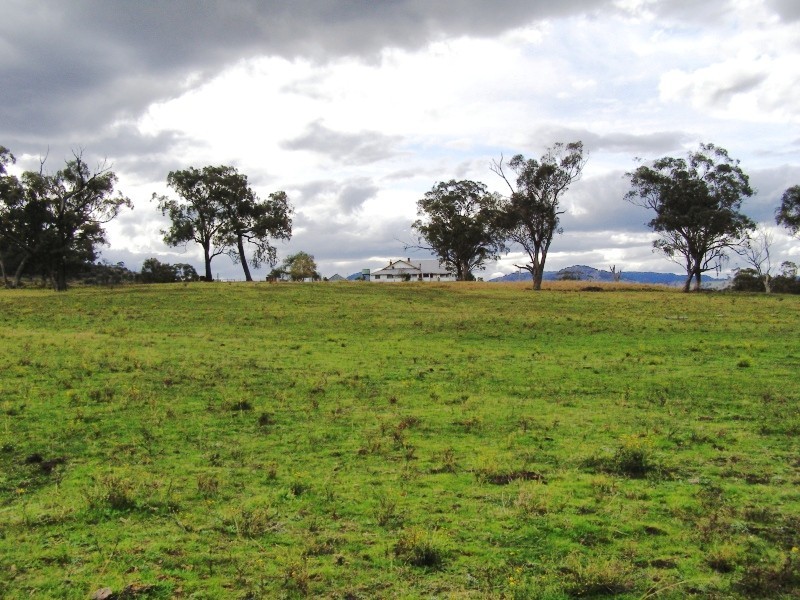 Scone NSW 2337
