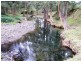 Scone NSW 2337