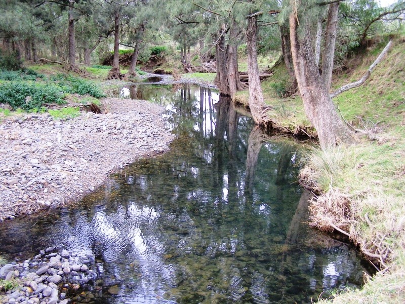 Scone NSW 2337