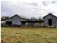 Scone NSW 2337