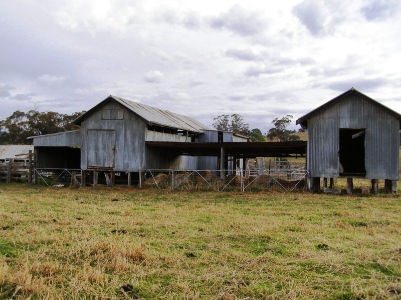 Scone NSW 2337