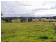 Scone NSW 2337