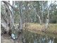 Tocumwal NSW 2714