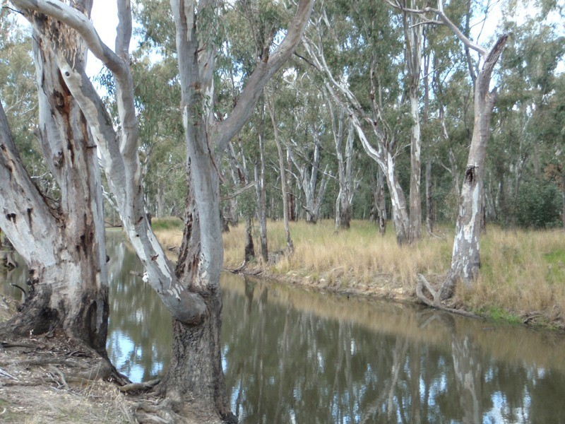 Tocumwal NSW 2714