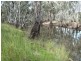 Tocumwal NSW 2714