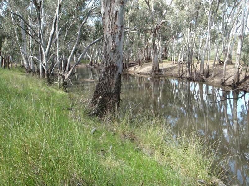 Tocumwal NSW 2714