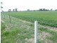 Tocumwal NSW 2714