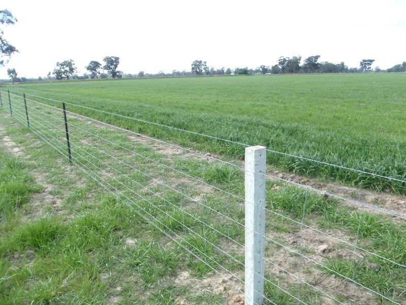Tocumwal NSW 2714