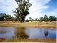 BOGAN SHIRE, Nyngan NSW 2825