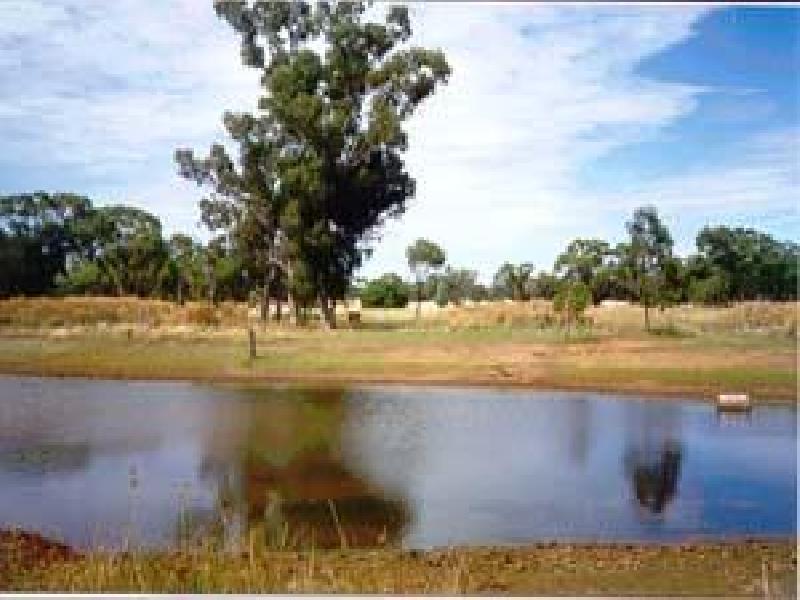 BOGAN SHIRE, Nyngan NSW 2825