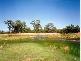 BOGAN SHIRE, Nyngan NSW 2825
