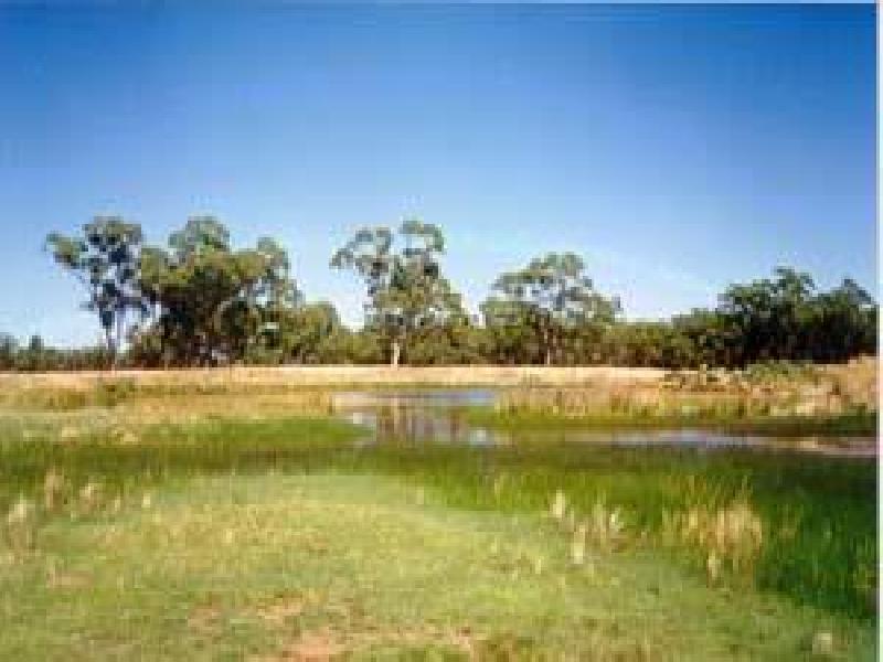 BOGAN SHIRE, Nyngan NSW 2825