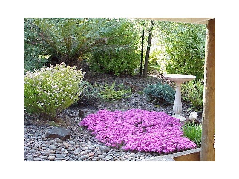 9 Braeside Court, Tawonga South VIC 3698