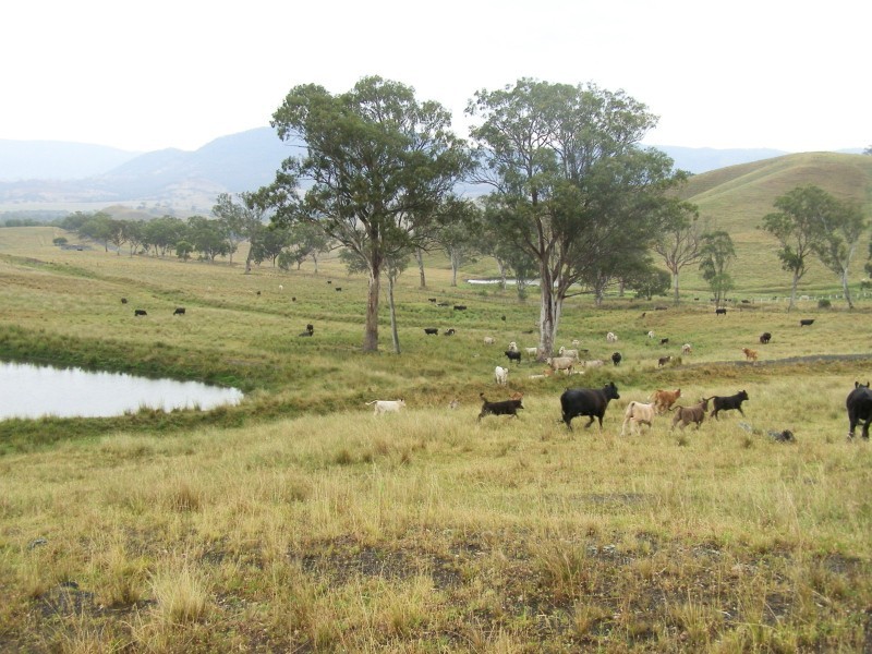 “DARUTH” 2172 Waverley Road, Gundy NSW 2337