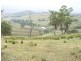 “DARUTH” 2172 Waverley Road, Gundy NSW 2337
