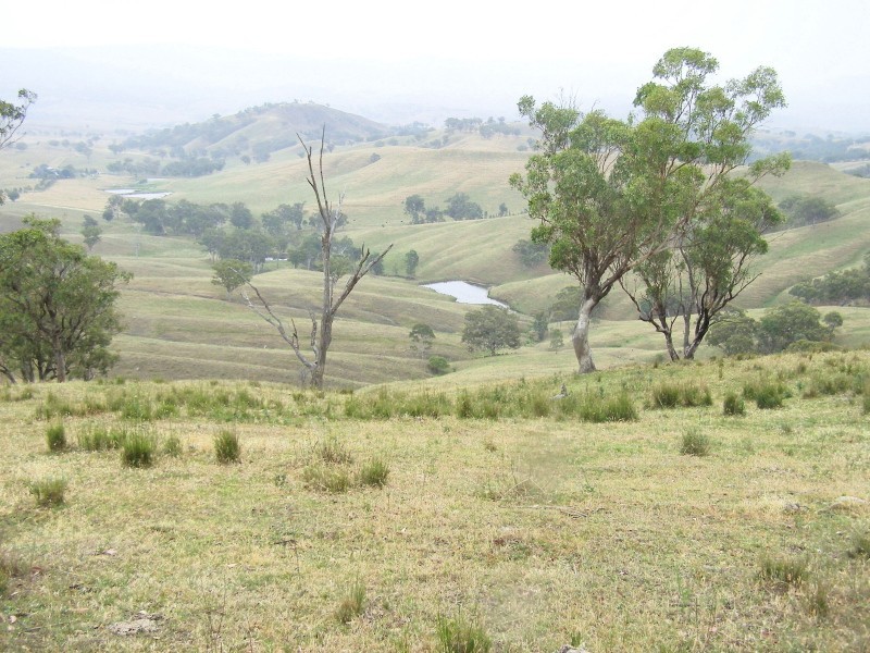 “DARUTH” 2172 Waverley Road, Gundy NSW 2337