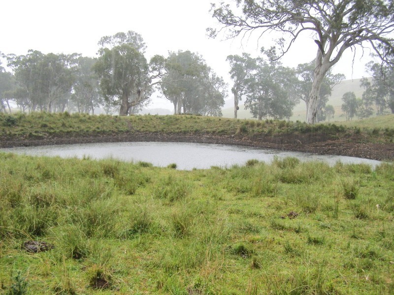 “DARUTH” 2172 Waverley Road, Gundy NSW 2337