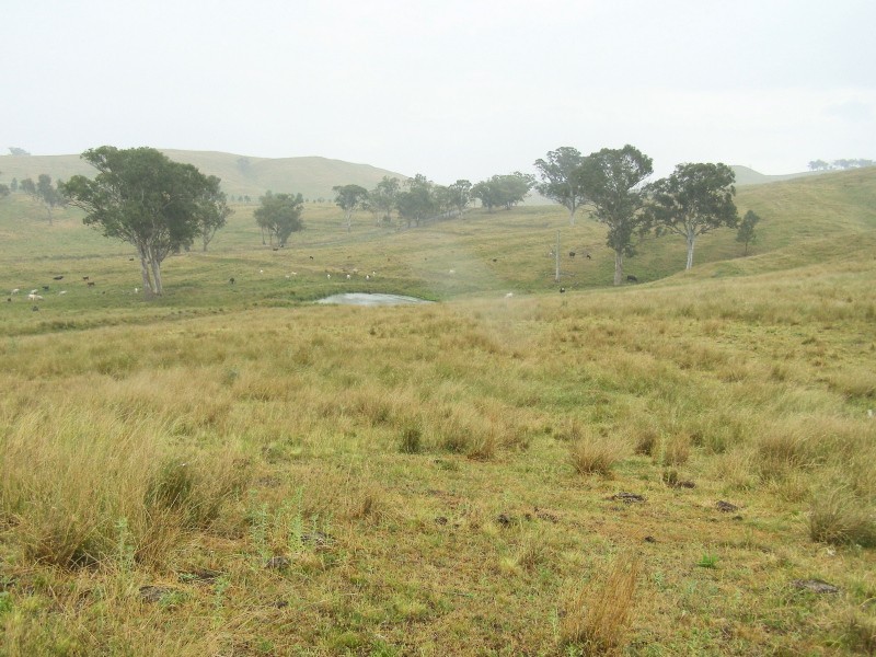 “DARUTH” 2172 Waverley Road, Gundy NSW 2337