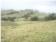 “DARUTH” 2172 Waverley Road, Gundy NSW 2337