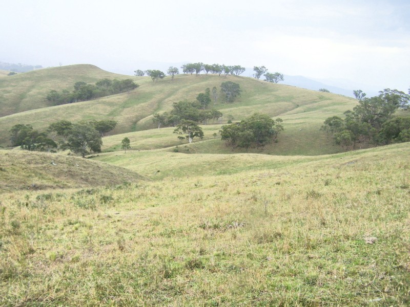 “DARUTH” 2172 Waverley Road, Gundy NSW 2337