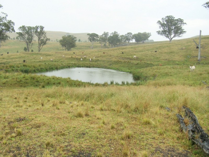 “DARUTH” 2172 Waverley Road, Gundy NSW 2337