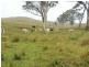 “DARUTH” 2172 Waverley Road, Gundy NSW 2337