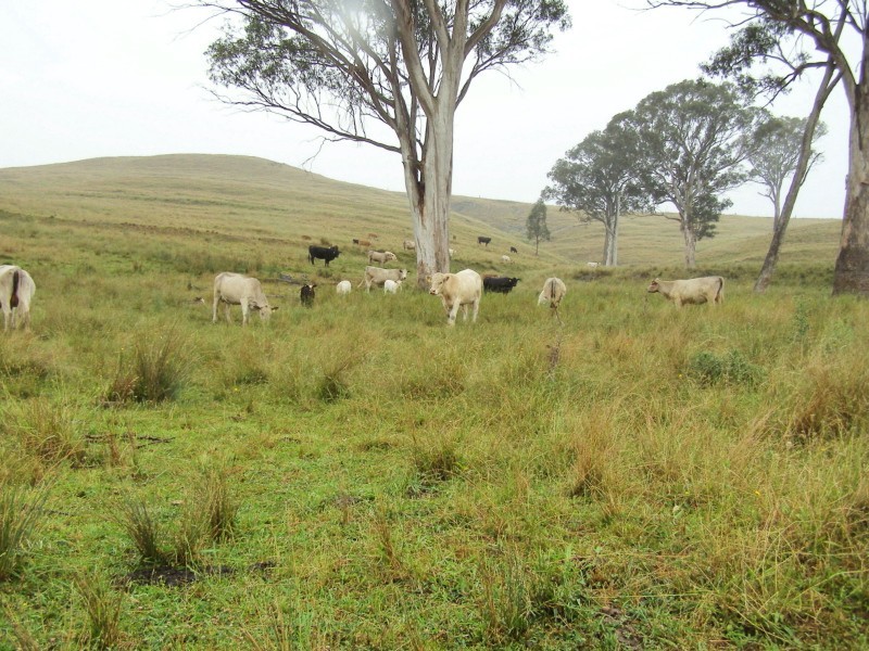 “DARUTH” 2172 Waverley Road, Gundy NSW 2337