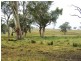 “DARUTH” 2172 Waverley Road, Gundy NSW 2337