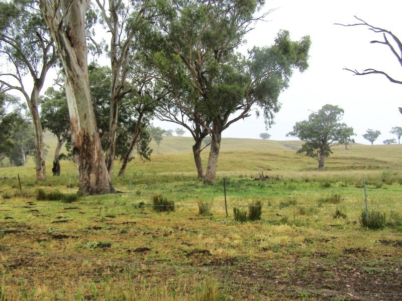 “DARUTH” 2172 Waverley Road, Gundy NSW 2337