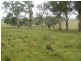 “DARUTH” 2172 Waverley Road, Gundy NSW 2337