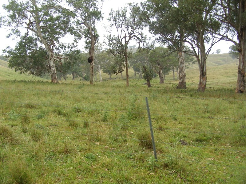 “DARUTH” 2172 Waverley Road, Gundy NSW 2337