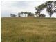 “DARUTH” 2172 Waverley Road, Gundy NSW 2337