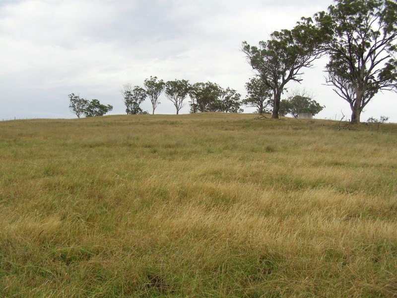 “DARUTH” 2172 Waverley Road, Gundy NSW 2337