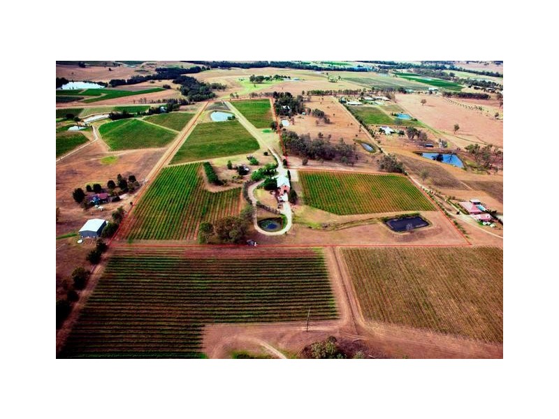 “SANDALYN” 162 Wilderness Road, Lovedale NSW 2325