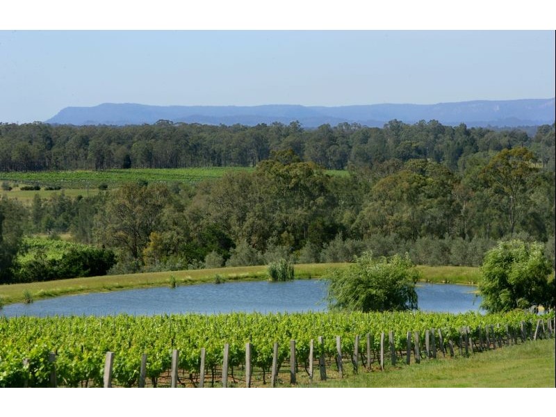 “SANDALYN” 162 Wilderness Road, Lovedale NSW 2325