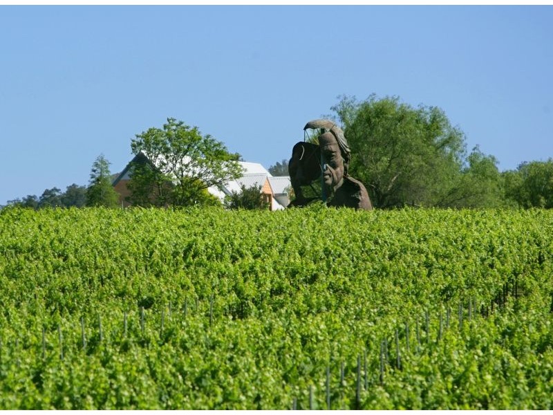 “SANDALYN” 162 Wilderness Road, Lovedale NSW 2325