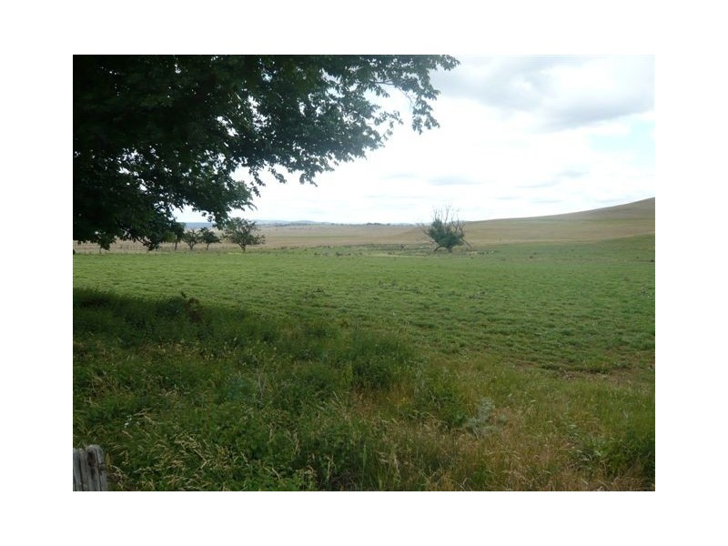 1294 SNOWY MOUNTAINS HWY, Cooma NSW 2630