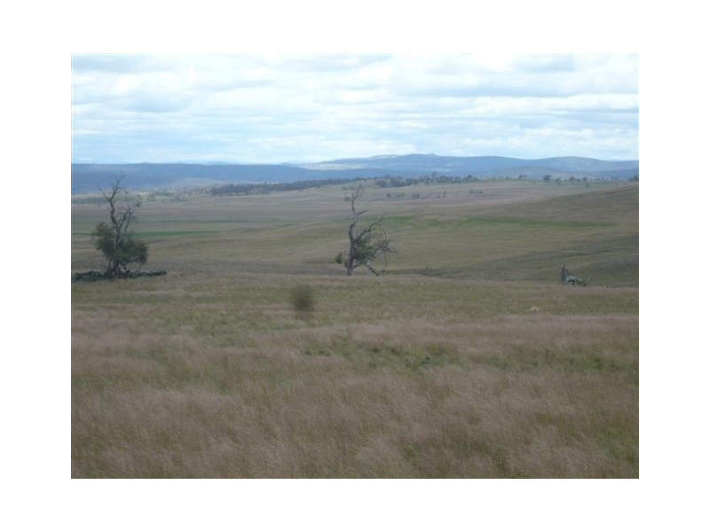 1294 SNOWY MOUNTAINS HWY, Cooma NSW 2630