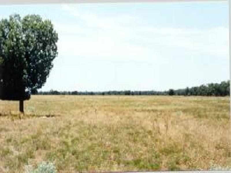 NYNGAN DISTRICT – TURNERS CREEK REGION, Nyngan NSW 2825