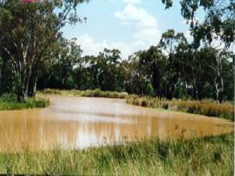 NYNGAN DISTRICT – TURNERS CREEK REGION, Nyngan NSW 2825