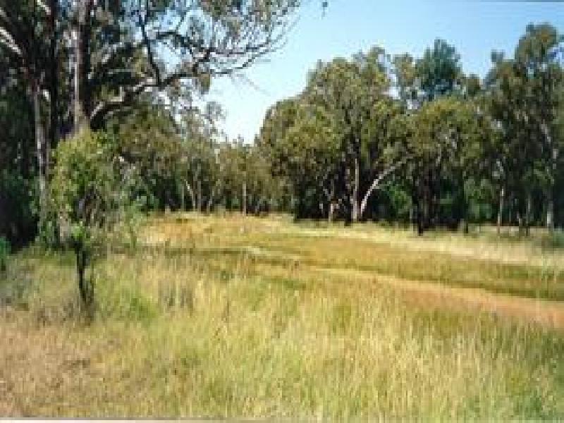 NYNGAN DISTRICT – TURNERS CREEK REGION, Nyngan NSW 2825