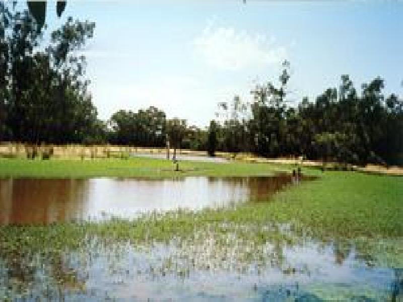 NYNGAN DISTRICT – TURNERS CREEK REGION, Nyngan NSW 2825