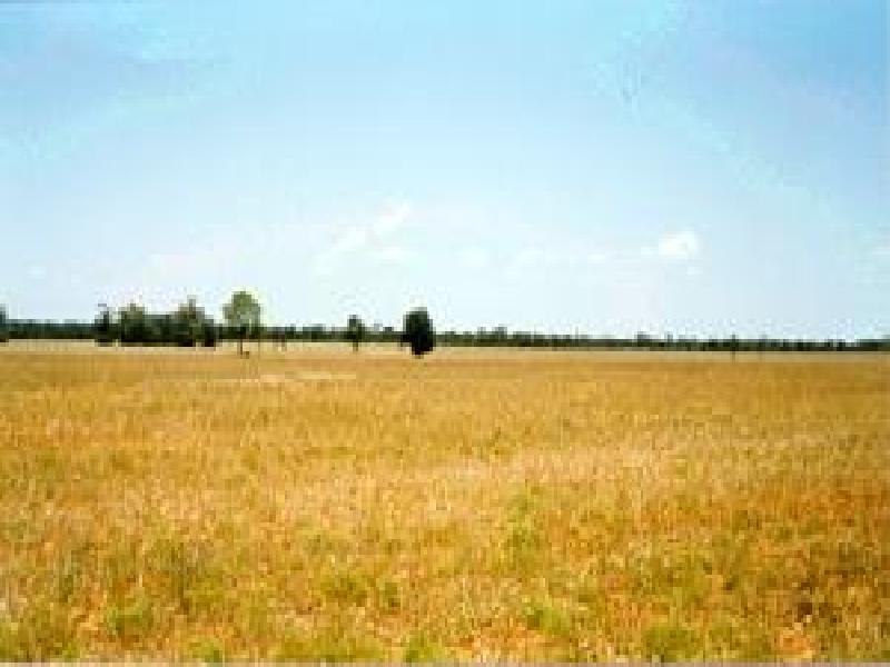 NYNGAN DISTRICT – TURNERS CREEK REGION, Nyngan NSW 2825