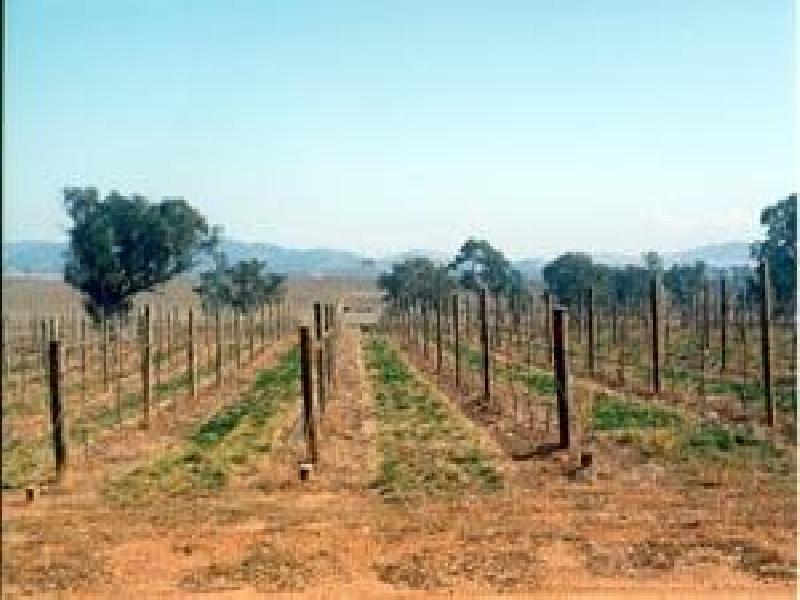 GULGONG ROAD, Mudgee NSW 2850