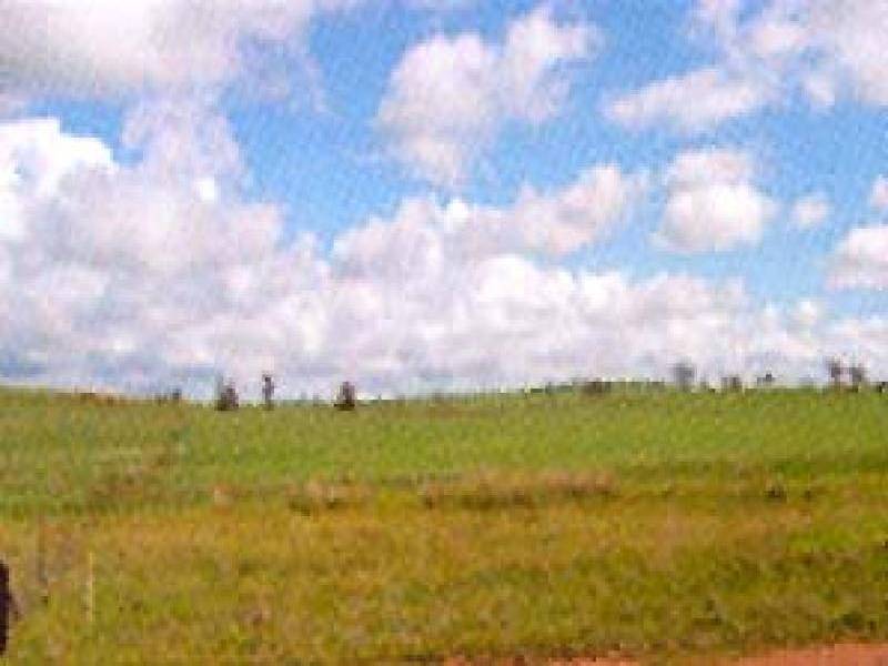 CALARIE ROAD, Forbes NSW 2871