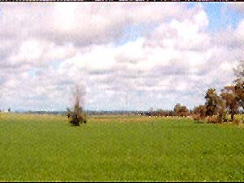 CALARIE ROAD, Forbes NSW 2871