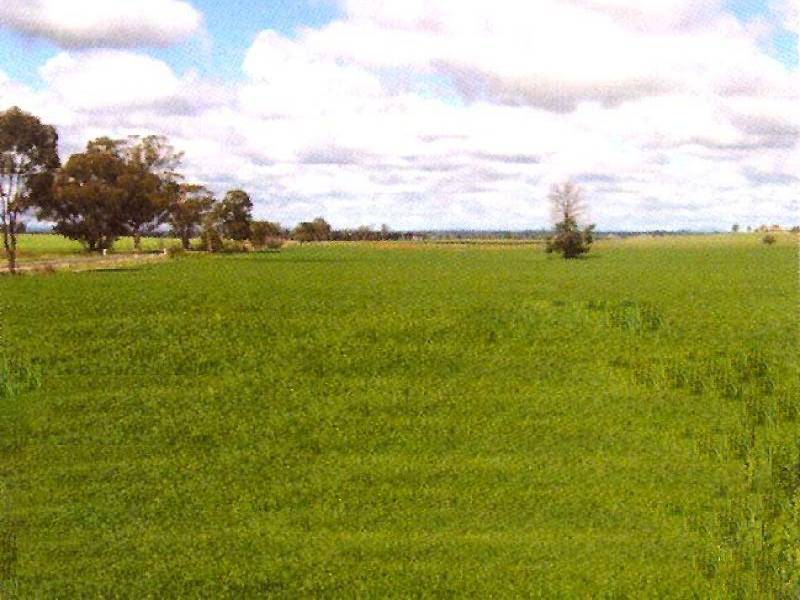 CALARIE ROAD, Forbes NSW 2871