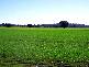 MERCADOOL LANE, Bogan Gate NSW 2876