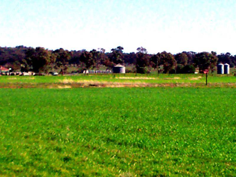 MERCADOOL LANE, Bogan Gate NSW 2876